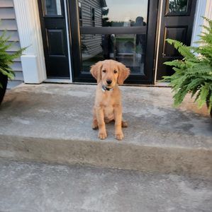 Meet your Posher, Kelly